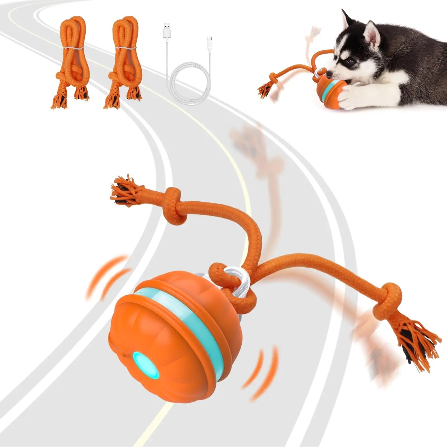 Smart Dog Toy Ball Motion Activated Interactive Small Dog Toys Rotating Teaser Ball Pet Puppy Cleaning Teeth Chew Toys Knot Rope