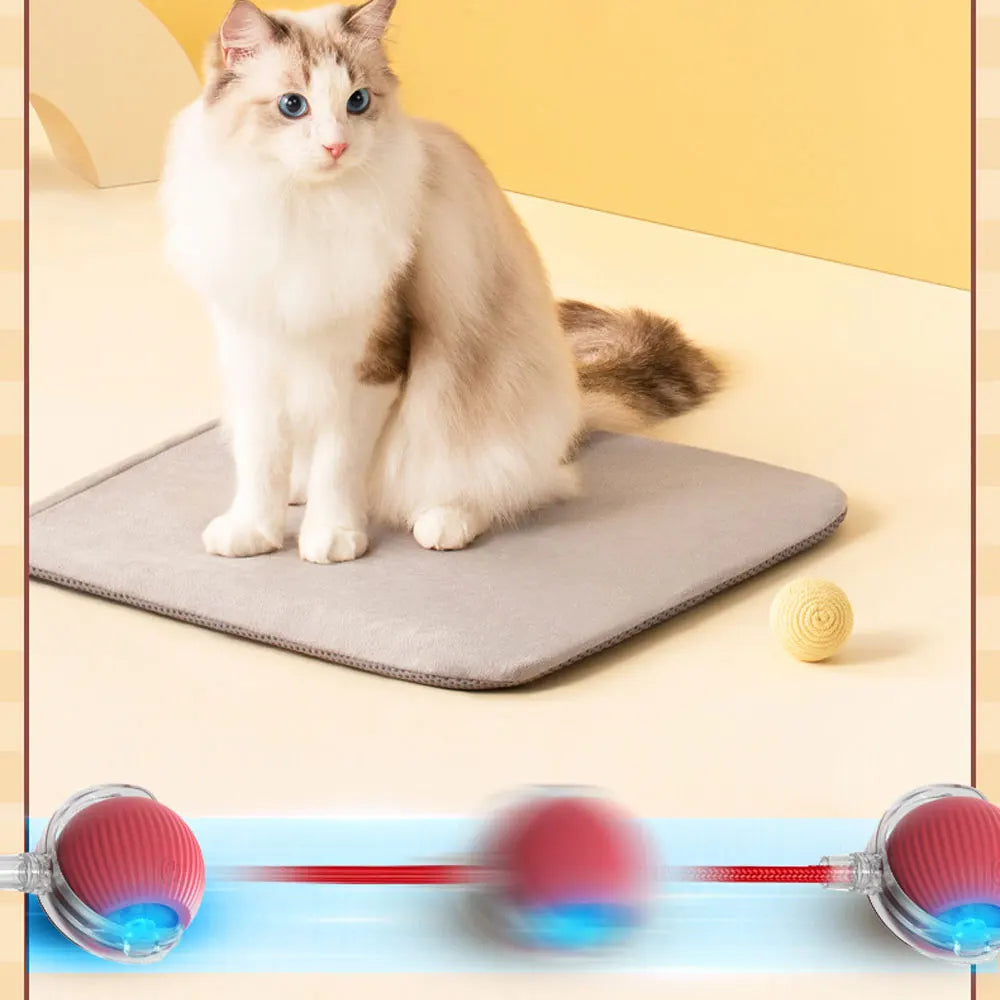 Smart Cat Toys Automatic Rolling Ball Fake Tail Rechargeable Electric Pet Interactive Toy Dog Cat Training Imitate Mouse Tail