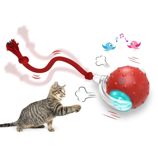 Interactive Cat Toy Ball Rolling Balls Bird Chirping Motion Activated Sensor Pet Kitten Teaser Game Toy Feline Play Stimulator