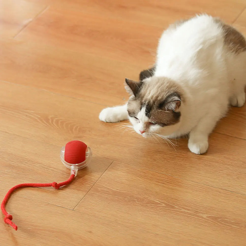 Smart Cat Toys Automatic Rolling Ball Fake Tail Rechargeable Electric Pet Interactive Toy Dog Cat Training Imitate Mouse Tail